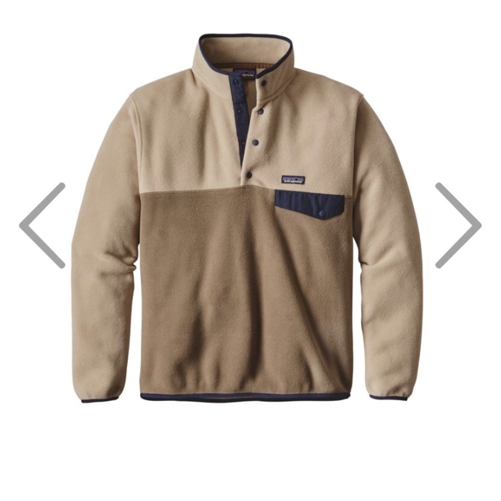 Patagonia Men's Pullover